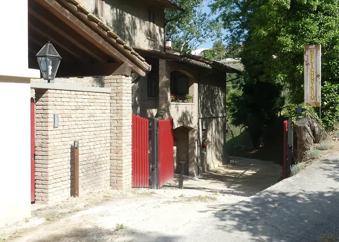 Helichrysum Bed & Breakfast Vinci