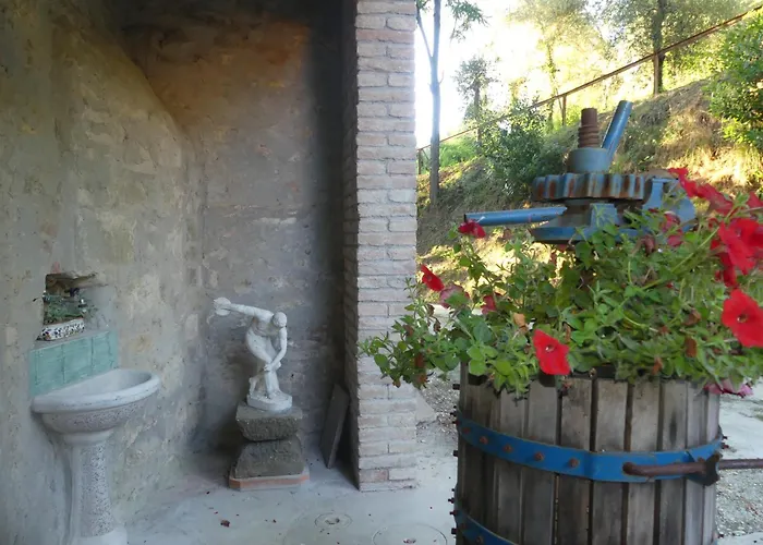 Helichrysum Bed & Breakfast Vinci