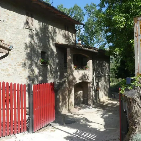 Helichrysum 4* ヴィンチ