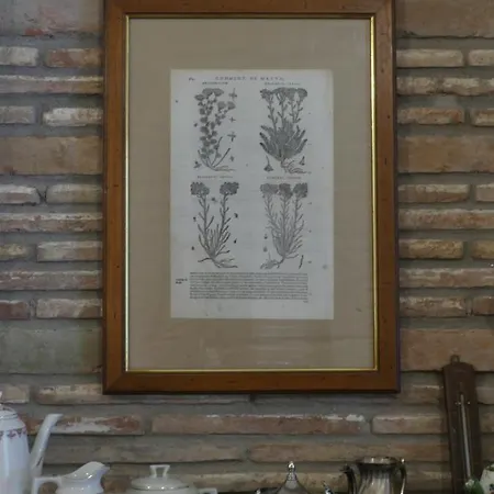 Helichrysum ベッド・アンド・ブレックファスト 4*