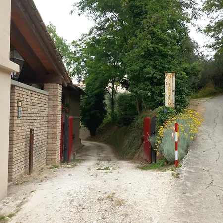 Panzió Helichrysum Vinci