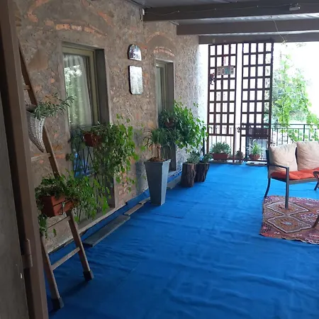 Helichrysum ベッド・アンド・ブレックファスト