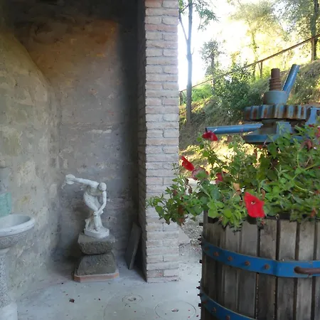 Helichrysum Bed & Breakfast Vinci